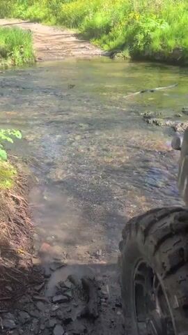 The video captures a first-person perspective, likely from an ATV or UTV, approaching and beginning to cross a shallow, clear stream. In the foreground, the muddy, treaded wheel of the vehicle is visible on the right, partially submerged in the water. The stream's bed is visible through the clear water, showing numerous small rocks and pebbles.

On either side of the stream, lush green vegetation, including grass and trees, lines the banks. A dirt path or track is visible on the far side of the stream, indicating the continuation of the route. The setting appears to be a natural, wooded area under bright daylight conditions. The water appears calm, with gentle ripples. The scene suggests an off-road adventure or journey through a natural landscape in Veselie, Bulgaria.