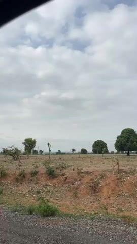 The video shows a field from the window of a moving vehicle. The field is mostly dry and brown, with scattered green trees. The sky is cloudy. The camera moves past the trees as the vehicle moves along a road.