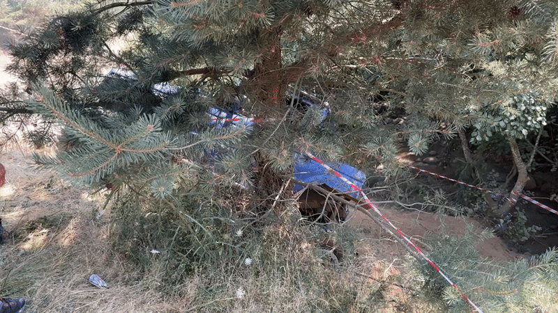 Off-road vehicle rollover in pine forest outside Govedartsi