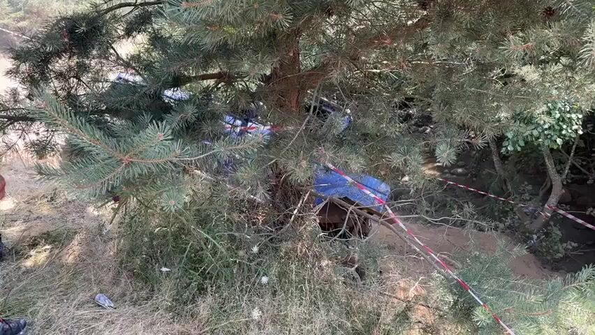 A vehicle is partially submerged in vegetation and pine branches. The vehicle appears to be blue. A red and white striped tape is visible, possibly indicating a crime scene or hazard. The ground is covered in dry grass and dirt. The lighting suggests it is daytime.