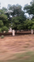 Driver records roadside scenery at Campo de Carabobo, Venezuela