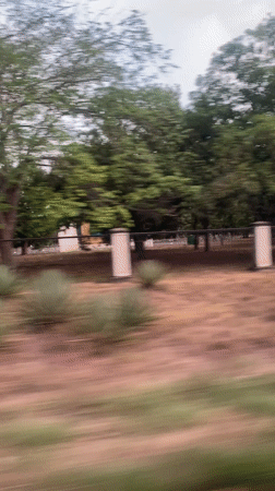 Driver records roadside scenery at Campo de Carabobo, Venezuela