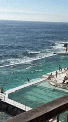 Swimmers and yoga practitioners enjoy sunny day at Bondi Icebergs