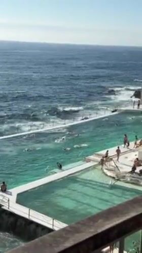 Swimmers and yoga practitioners enjoy sunny day at Bondi Icebergs