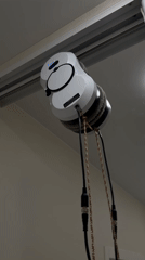 Robotic window cleaner spotted operating alongside windowsill garden setup