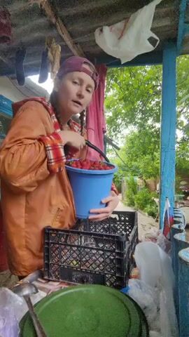 A person wearing an orange jacket and a red baseball cap is standing on a porch and holding a blue bucket full of strawberries. The person is in the process of pouring the strawberries from the bucket into a black crate that is placed on a table. The porch has a corrugated metal roof and blue wooden posts. There are clothes hanging from a line on the porch. Trees and foliage are visible in the background.