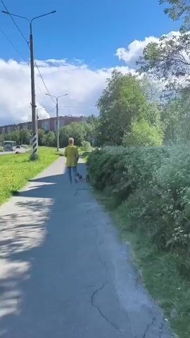 A person in a yellow jacket walks along a paved path, accompanied by two small dogs. The path is lined with lush green grass and dense bushes on the right, while on the left, there is a road with a few cars. In the background, buildings and trees are visible under a bright blue sky with scattered white clouds. A lamppost stands tall on the left side of the path. The scene appears to be set during the daytime, with sunny weather conditions. The overall mood seems peaceful and relaxed, with the person and dogs enjoying an outdoor stroll. There is no visible text in the image.