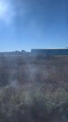 The video captures a view from a moving vehicle, likely a car or bus, traveling along a paved road. The scene is an open, rural landscape under a clear blue sky. In the distance, a series of large, arched structures, possibly agricultural buildings or hangars, are visible. The foreground is dominated by dry, tall grass and other low-lying vegetation, suggesting a dry or late summer season. The road has a white line marking its edge, and a triangular road sign is visible on the right side. The sunlight creates lens flare and glare, particularly on the left side of the frame, indicating it's daytime. The overall impression is one of traversing a somewhat desolate, agricultural or industrial outskirts.