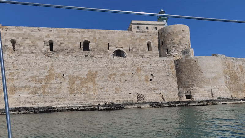 Cat naps among fish displays at Syracuse market