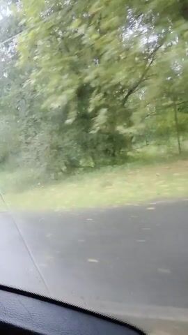 The video shows a view through the windshield of a car driving on a wet asphalt road. On the right side of the road is a grassy area with lush green trees. The camera is shaky, indicating that it is handheld. The weather appears overcast, with rain visible on the windshield. The road has debris scattered on it.