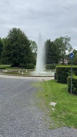 The video shows a park with a large fountain in the center. The fountain has one main jet of water shooting upwards and several smaller jets around the perimeter. There are trees and bushes surrounding the fountain, as well as a path made of gravel. In the background, there are some buildings and a sign that appears to be a dog-walking symbol. The sky is overcast. The camera is stationary and the video is short.