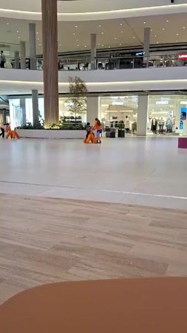 A girl pushes a young boy, who is sitting on an orange, inflatable, four-legged toy that resembles a dog. The girl wears an orange long-sleeved shirt and blue shorts. The boy wears a gray shirt and dark pants. The setting appears to be the interior of a shopping mall. In the background, there are trees, greenery, clothing racks, and other storefronts. The floor is polished and glossy.