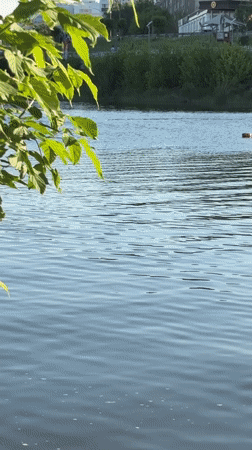 Couple enjoys jet ski ride on river in Naberezhnye Chelny