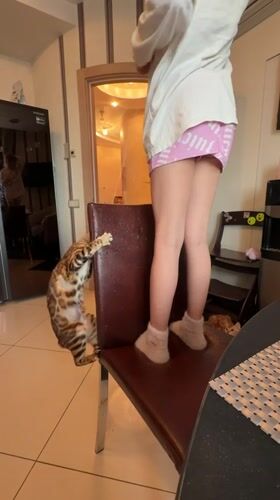 Person stands on chair in Russian home kitchen