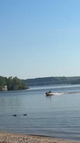 The scene is a wide, calm body of water under a clear, bright blue sky. In the midground, a person rides a jet ski, moving from right to left, leaving a trail of white wake behind it. Several ducks are scattered across the water in the foreground. In the background, the opposite shore is visible with a few houses nestled among green trees and a bridge in the distance. The camera is positioned from a sandy beach in the foreground, with some branches partially visible in the upper left corner of the frame.