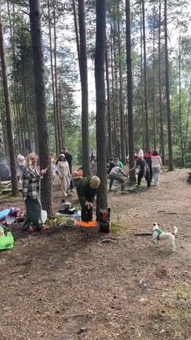 This video captures a gathering in a forest, likely a campsite or a casual outdoor event. The scene is set amongst tall, slender pine trees with a canopy of green leaves overhead. The ground is covered in pine needles and dirt, typical of a wooded area.

Several individuals are visible throughout the video, engaged in various activities. In the foreground, a woman in a plaid shirt and jeans stands near some camping gear, including a green bag and backpacks. Nearby, a person in a green jacket is tending to a small campfire. A small white dog with a tan patch on its back is also present, standing on the right side of the frame.

Further into the scene, more people are milling about. Some appear to be socializing, while others are near a setup with speakers and equipment, suggesting the possibility of music or a performance. One person in a bright teal and pink jacket stands out, seemingly interacting with others. A child in a pink outfit is seen running in the background. There is a large white tarp creating a shaded area over some of the equipment.

The lighting suggests it is daytime, possibly late afternoon, given the soft light filtering through the trees. The overall atmosphere seems relaxed and informal, indicative of a casual get-together or a festival-like event in a natural setting. The presence of camping equipment and a campfire points towards an outdoor recreational activity.

The only visible text appears on a black bag in the foreground, but it is not legible.