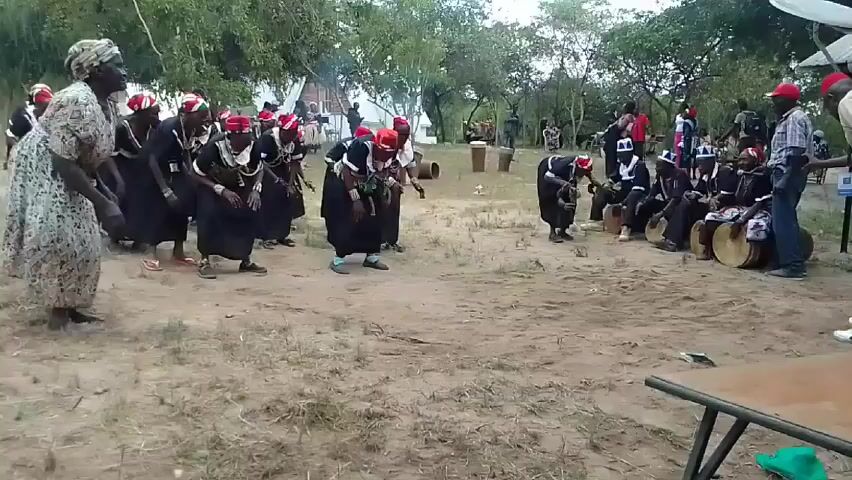 Okay, here is a description of the video:

The scene depicts a group of people participating in a traditional dance, accompanied by drumming. The dancers, predominantly women, are dressed in dark robes with red headdresses. They move in unison, bending at the waist with rhythmic gestures. A group of men, also in similar attire, are seated and play drums, providing the music for the dance. The event seems to be taking place outdoors, on a sandy area surrounded by trees. Other people stand around observing the performance. A small hut and a satellite dish are visible in the background, and a table with some green cloth on it is visible in the foreground.