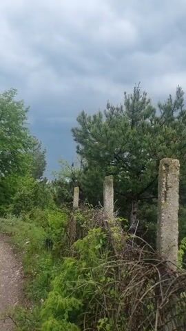 The video captures a panoramic view of a mountainous landscape under a cloudy, overcast sky. It begins with a close-up of two weathered concrete posts in the foreground, with dry branches tangled around them, and a large pine tree behind. The camera then slowly pans to the right, revealing expansive green mountains covered in dense forests. Patches of mist or low clouds are visible clinging to the mountain slopes in the distance. The foreground transitions to a grassy field with scattered trees as the pan continues. The final frames show a verdant hillside with numerous trees and a small peak in the background, all beneath the consistently grey and cloudy sky. There are no people or visible text. The setting appears to be a rural, natural environment, likely in a mountainous region like Borovo, Bulgaria, experiencing overcast weather during the daytime.