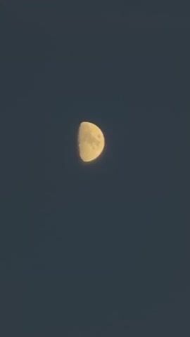 The video shows a close-up, slightly shaky shot of a half-moon against a dark blue sky. The moon is a pale yellow color with visible craters and surface texture. The camera is stationary for the duration of the clip.