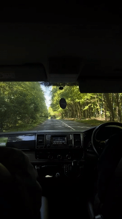 Vehicle journey recorded on tree-lined road in Coombe Bissett