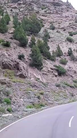 A car is driving on a winding road through a mountainous landscape. The road is asphalt with white lines marking the lanes. On the left side of the road is a steep, rocky mountain slope with sparse vegetation and some evergreen trees. On the right side of the road, there is a slight drop-off and a metal guardrail. In the distance, more mountains can be seen, some of them snow-capped. The sky is overcast. The video appears to be filmed from inside the car, looking forward.