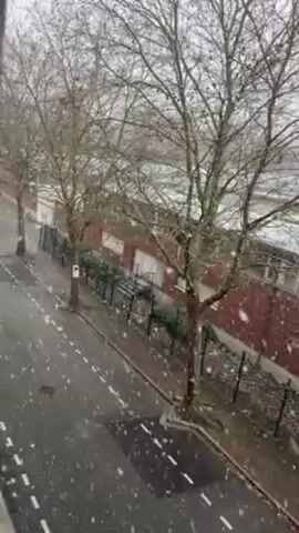 The video shows a street scene during a light snowfall. The road is dark and wet, marked with white dotted lines, and lined on one side by bare trees. Beyond the trees, a fence runs along the edge of a brick building with white windows. The snow is falling gently, with flakes visible against the dark road and the background elements. The overall mood is quiet and wintry. The video appears to be taken from an elevated position, possibly a balcony or window.