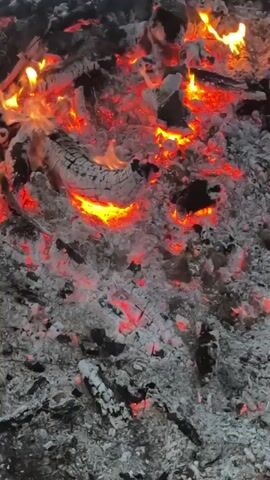 The video displays a close-up view of a dying campfire. Embers and ash cover the ground, with glowing red coals interspersed throughout. A few pieces of charred wood remain, some still holding a faint orange glow. Small wisps of smoke can be seen rising from the embers. The lighting suggests it may be dusk or nighttime, enhancing the visual effect of the glowing coals. There are no people or other objects visible in the frame.
