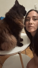 Woman photographs herself with fluffy cat in Saint Petersburg apartment