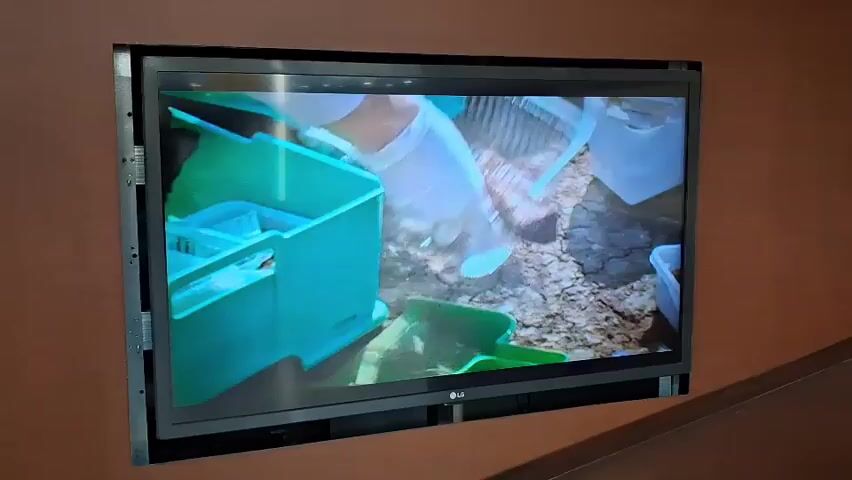 A video displays a close-up of a television screen embedded in a brown wall. The television shows a scene with a person wearing white gloves handling what appear to be artifacts, possibly bones or tools, from a bright blue plastic container. The camera then shifts to a closer view of the screen, showing a person's hand writing on a piece of paper with some text in Italian. The video captures the overall scene of the television and its surroundings.