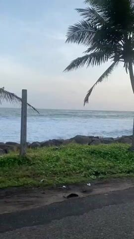 The video shows a coastal scene from a moving vehicle. In the foreground, a dark asphalt road is visible. To the left, there is a patch of green grass with some scattered debris. Beyond the grass is a rocky shoreline with waves crashing onto the shore. A tall palm tree stands prominently on the left side of the frame. Further to the right, a wooden post is stuck in the ground near the rocky shore. In the middle ground, a white SUV is parked facing left. The background consists of the ocean and a cloudy sky. The camera appears to be panning or the vehicle is moving forward, showing different segments of the coastline.