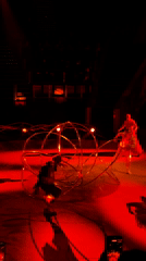 Colorful circus performance captivates audiences at Yerevan concert complex