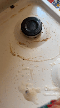 Dirty stovetop with greasy residue documented in Milan