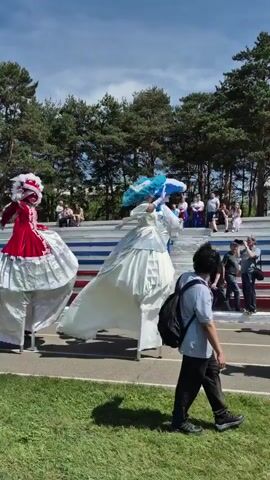 A video shows two people in elaborate costumes on stilts walking across a paved area with a grassy patch to the left and bleachers with people sitting on them in the background. The person on the left is wearing a red and white period-style dress and a feathered hat. The person on the right is wearing a silver and white dress with a blue feathered hat. A man in a grey shirt and black backpack walks past them from right to left. Another person in a black and gold jester-like costume walks behind the man in the backpack. Tall green pine trees are visible in the far background under a clear blue sky.