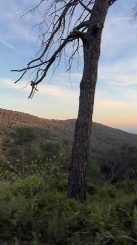 The video shows a view from a moving vehicle driving on a road alongside a lush, green hillside. The hill is covered in dense trees and vegetation. In the distance, there's a view of a valley or low-lying area with hints of buildings or settlements. The sky is blue with wispy clouds and a gradient of colors suggesting either sunrise or sunset. There are visible contrails in the sky, likely from airplanes. A guardrail is visible along the road.