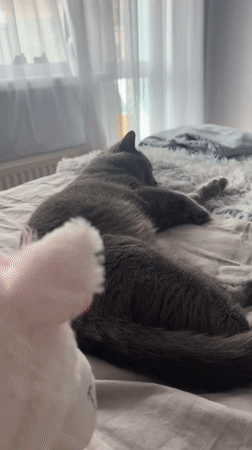 Domestic life moments captured in Dobrich home over six minutes