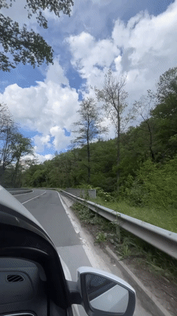 Driver records roadside scenery from moving car in Kamchia