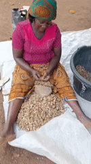 Woman shells peanuts outdoors with child in Akwanga, Nigeria