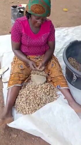 Woman shells peanuts outdoors with child in Akwanga, Nigeria