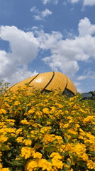 Tourist captures Da Lat landmarks and nature scenes