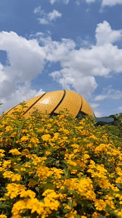 Tourist captures Da Lat landmarks and nature scenes