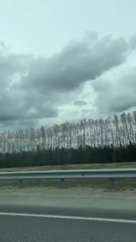 The video presents a view from a moving vehicle, likely traveling on a highway or rural road in Opytnoe Pole, Russia. The scene captures a landscape under a heavily overcast sky with large, grey clouds dominating the upper portion of the frame.

In the foreground, a silver metal guardrail runs horizontally, separating the road from the roadside. Below the guardrail, a narrow strip of green and brown ground is visible, bordering the asphalt road at the very bottom of the frame.

The mid-ground features a long, linear row of bare deciduous trees, possibly poplars or birches, with their slender, leafless branches silhouetted against the sky. Behind these bare trees, a denser line of evergreen trees, likely conifers, forms a darker green backdrop.

The weather appears cloudy and perhaps chilly, given the bare branches of the deciduous trees, suggesting late autumn, winter, or early spring. The only discernible activity is the continuous movement of the camera, indicating travel. The audio accompanying the video includes ambient sounds, likely road noise or wind. No people or visible text are present in the video.