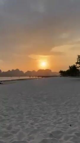 The video shows a sandy beach at sunset. The sky is a mix of orange and gray clouds, and the sun is a bright, round orb setting on the horizon. Silhouetted mountains can be seen in the distance. Palm trees line the right side of the beach. A person with short hair wearing a plaid shirt and dark pants is walking away from the camera towards the sunset. The person is carrying a book or package in their hand.