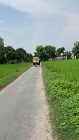 A yellow auto-rickshaw travels down a paved rural road. Lush green fields flank the road on both sides. Trees and a few buildings are visible in the distance. The sky is partly cloudy.
