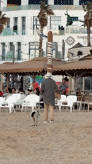 Tel Aviv beachgoers, street performers, and collared lamb captured