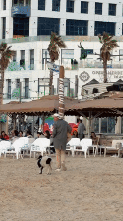 Tel Aviv beachgoers, street performers, and collared lamb captured