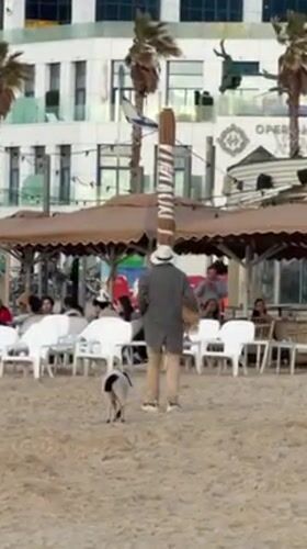 Tel Aviv beachgoers, street performers, and collared lamb captured