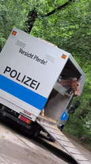 Munich incidents include vandalized scooters, police presence, park scenes
