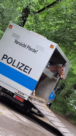 Munich incidents include vandalized scooters, police presence, park scenes