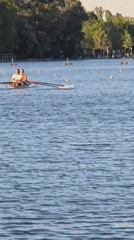 Waterfront sunset gathering with rowing activity documented by witnesses