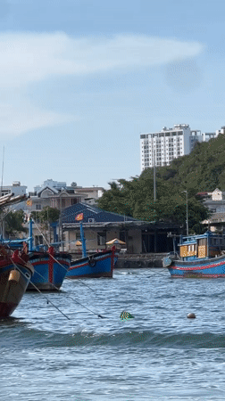 Colorful fishing boats spotted in Vietnamese coastal waters